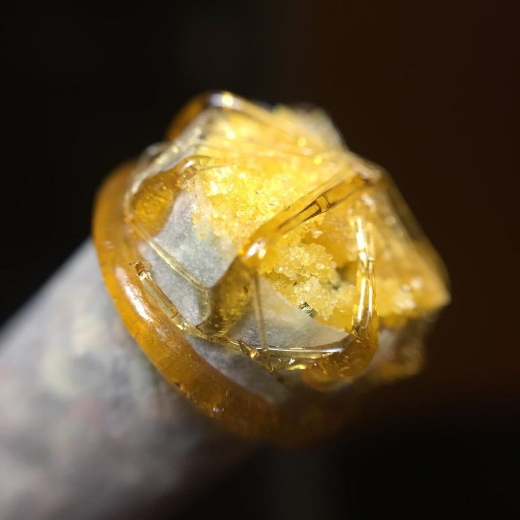 BHO extractions