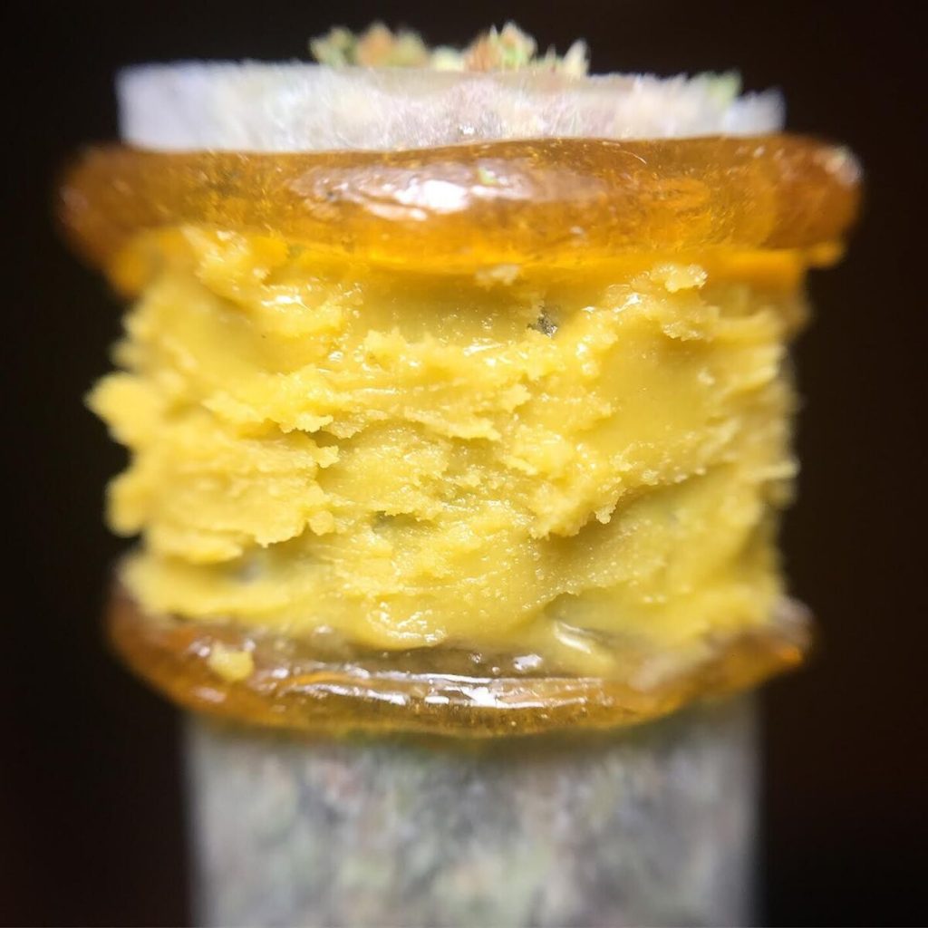 BHO Extractions
