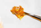 bho extraction