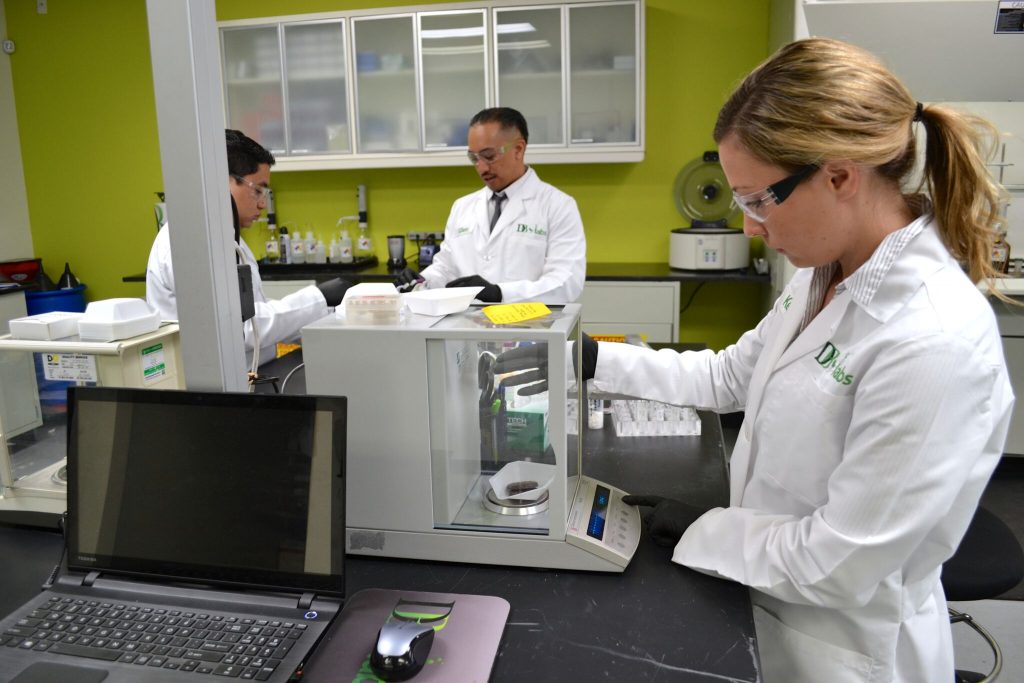 cannabis testing lab