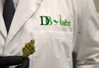 cannabis testing lab