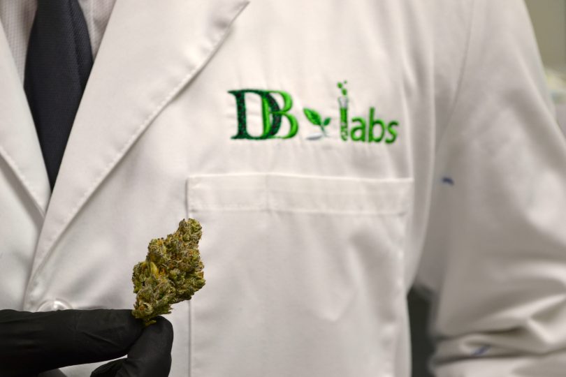 cannabis testing lab