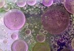 Oil droplets suspended in water, illustrating how polar and non-polar liquids separate.