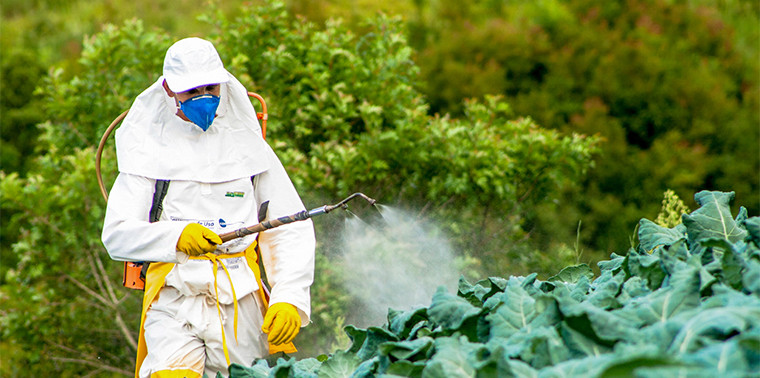 Biopesticides: Synthetic Pesticides Alternative | Terpenes And Testing ...