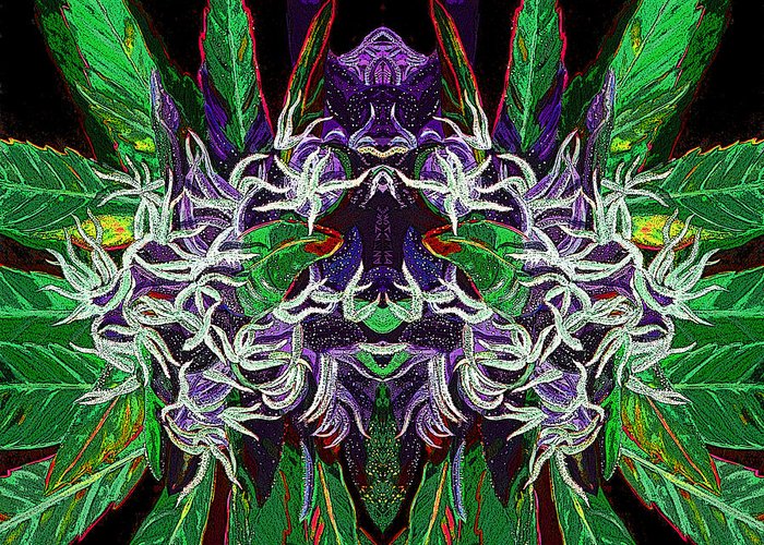 Cannabis And Psychedelics – Extraction Magazine