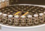 terpenes lab test