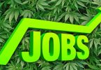 Job in the Cannabis Industry