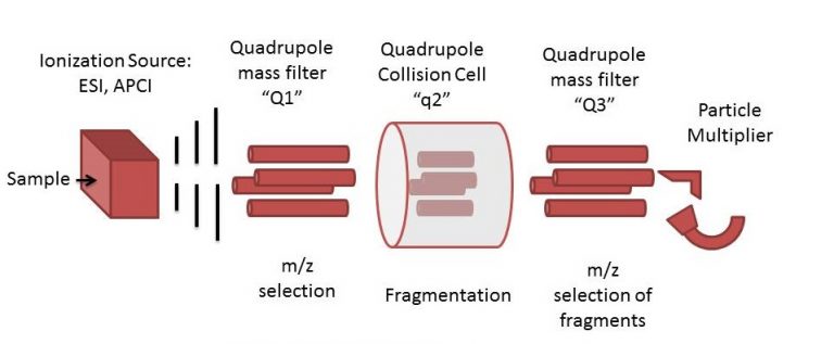 The Ion And The Triple Quad: A Tale Of Wanderers, Disturbing ...