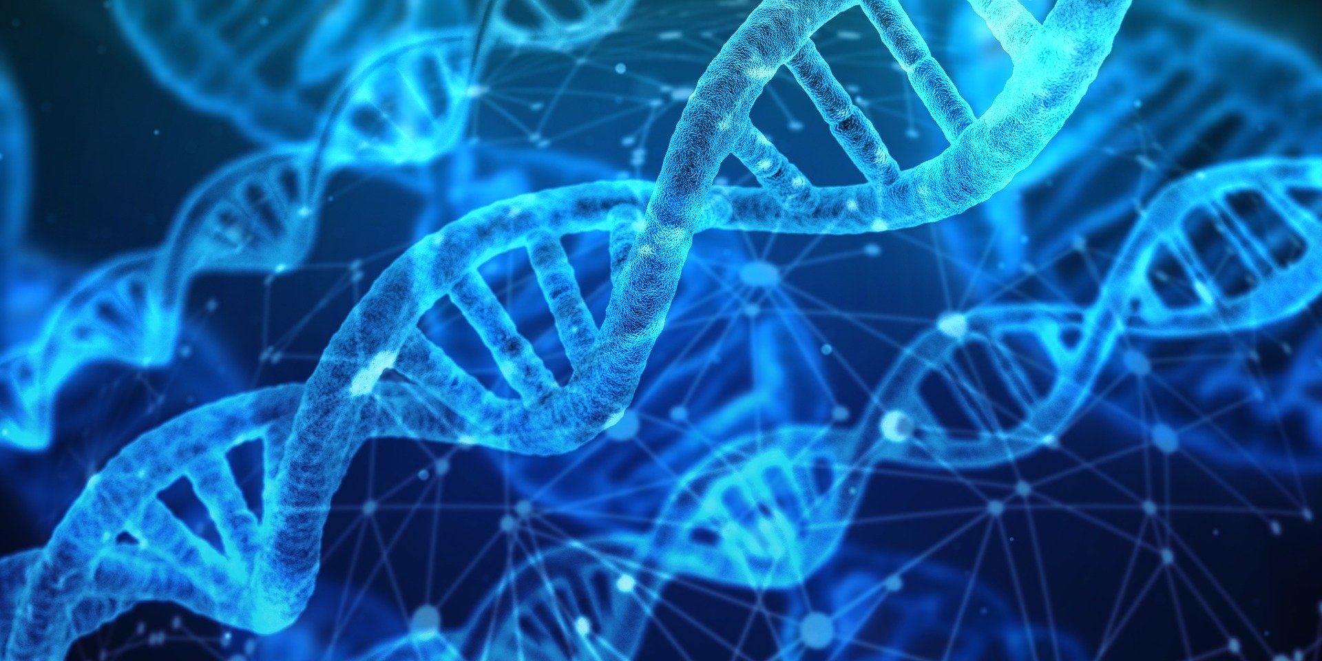 Sequencing Cannabis Genomes - Terpenes And Testing Magazine