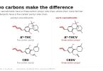 Structural comparison of delta-9-THC with delta-9-THCV and CBD with CBDV, showing the five-carbon pentyl side chain of the pentyl cannabinoids against the three-carbon propyl side chain that defines the varins