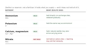 zeolite what it holds zeolite what it holds