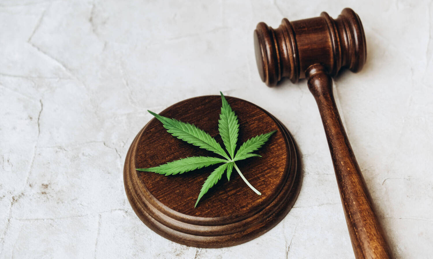 U.S. House Approves MORE Act To End Federal Cannabis Prohibition For ...