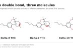 Skeletal structures of delta-8, delta-9 and delta-10 THC with the differing double bond highlighted in each
