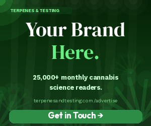banner_advertise2_growroom_300x250.png