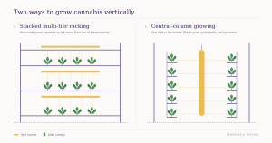 vertical growing diagram Diagram comparing stacked multi-tier cannabis racking with central-column vertical growing