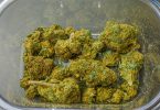 Dried cannabis flower in a glass dish before decarboxylation